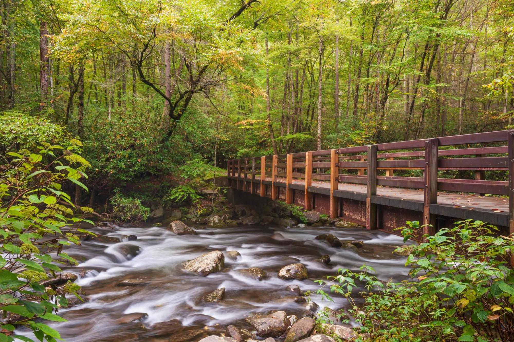 The Tiny Barn, 1089 Free Tickets Each Paid Day, Dollywood And More Sevierville Eksteriør bilde